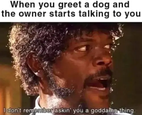 greet-dog.webp