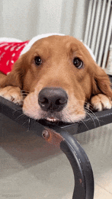 surprise.gif