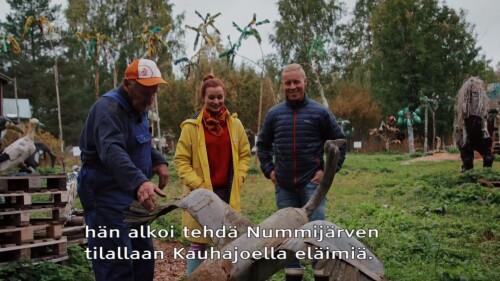 yle2.jpg