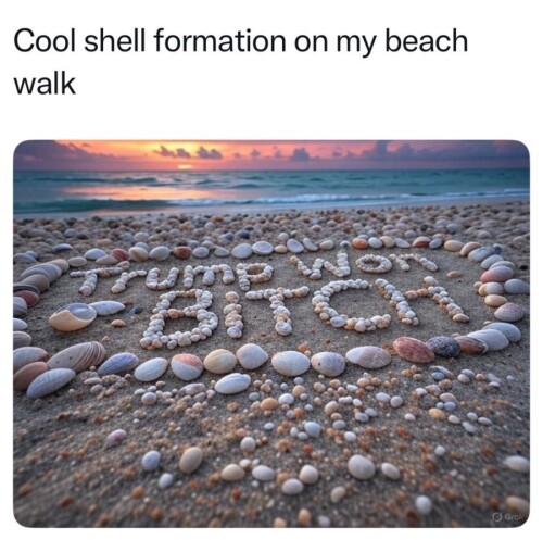 IMG_6880.jpeg