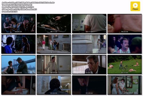 Cruising.1980.1080p.BluRay.DDP5.1.x265.10bit.Dual.mkv.jpg