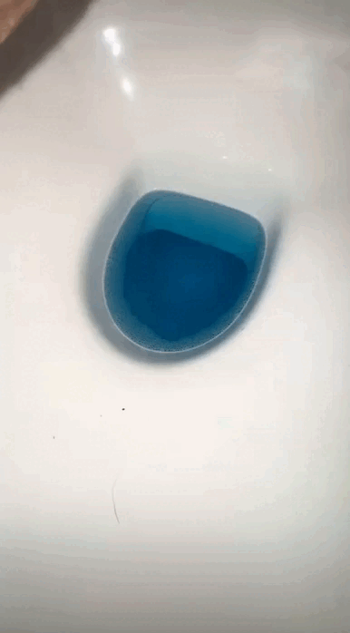 video5285395881263132409.gif