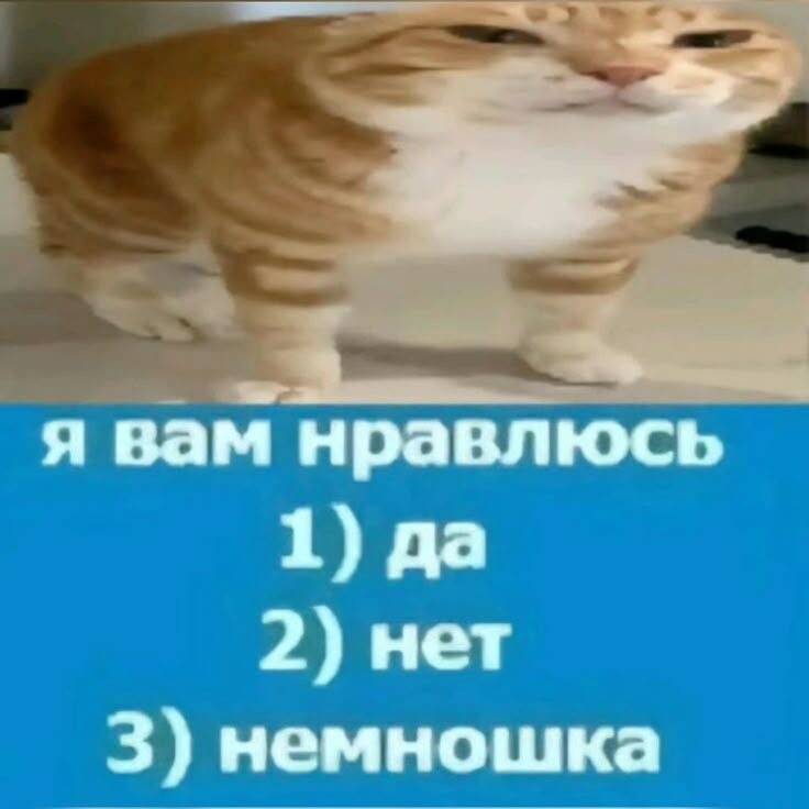 1000194447.jpg