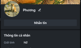 Screenshot-2025-05-21-160808bcb74ac8746523fb.png
