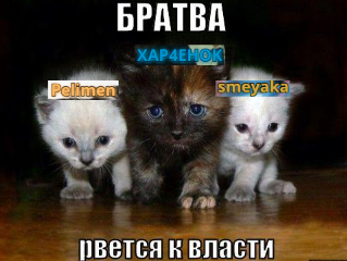 image11.png