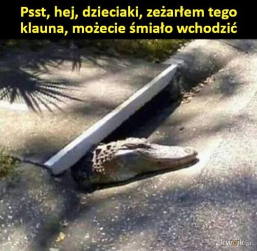 bI9QEEQ3WtkNrmdV.jpg