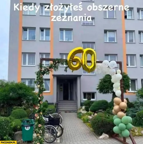 f6dvlzrlfh.webp
