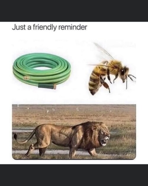 499461264_18045668006621615_4981049386126070623_n.jpg