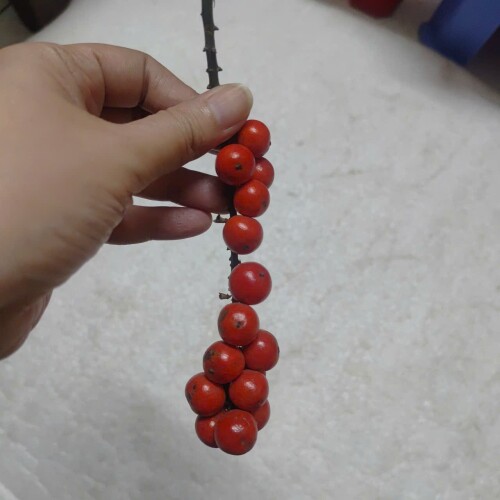 1000007924b34cccb0c373b385.jpg