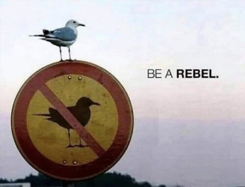 GmgbSAMaEAMeU10.jpg
