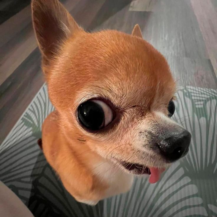 1000002662.jpg