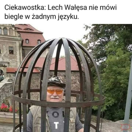 LqyzGSnU7CSA8dmb1vpFVjgmECEa5tjT.jpeg
