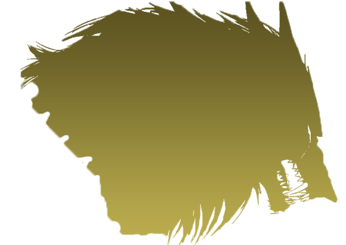 f2413ea25f3e844e5ad66c7a0600e277.png