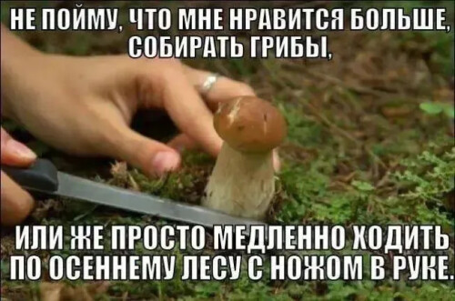 IMG_20250528_210852_138-1.jpg