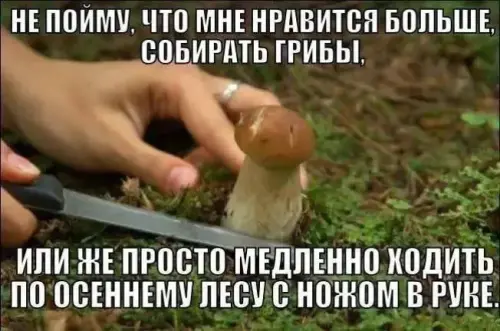 IMG_20250528_210852_138.webp