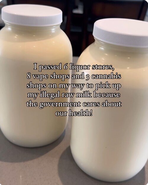 1000022210.jpg