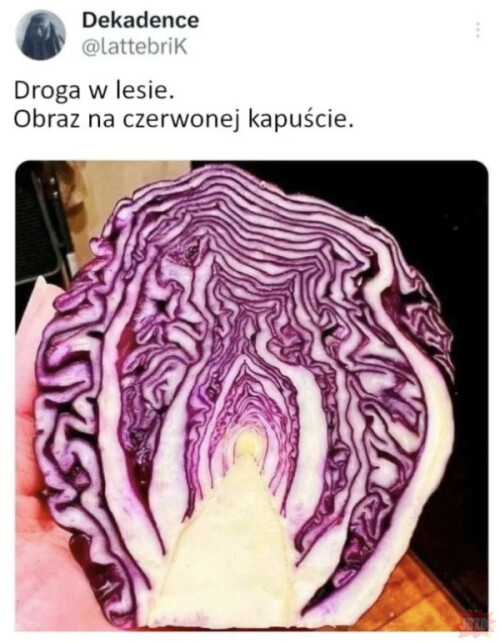 BScVoawEhOq3cffAX4EVJZpePjPRKkR2.jpg