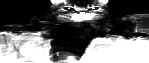 doomedcoce.png