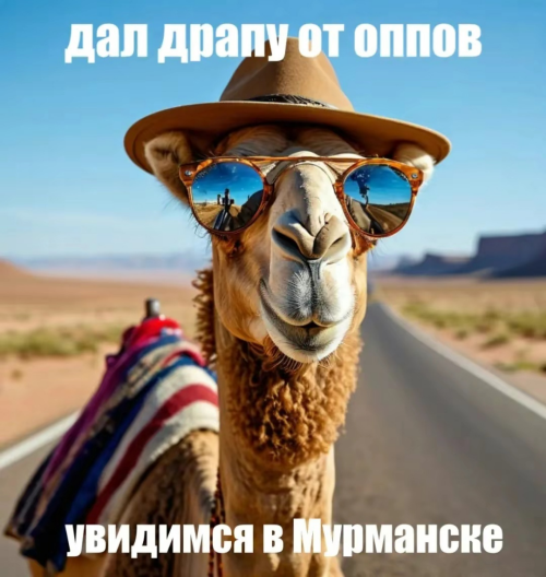 IZOBRAZENIE_2025-05-31_124154812.png