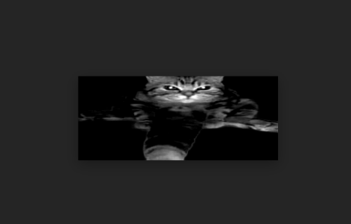 imageeca73c1d350d4216.png