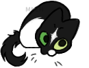 1000049165.png