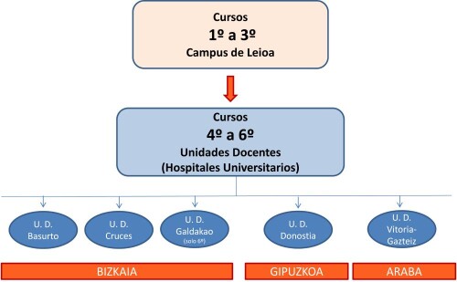 Esquema-Unidades-Docentes.jpg
