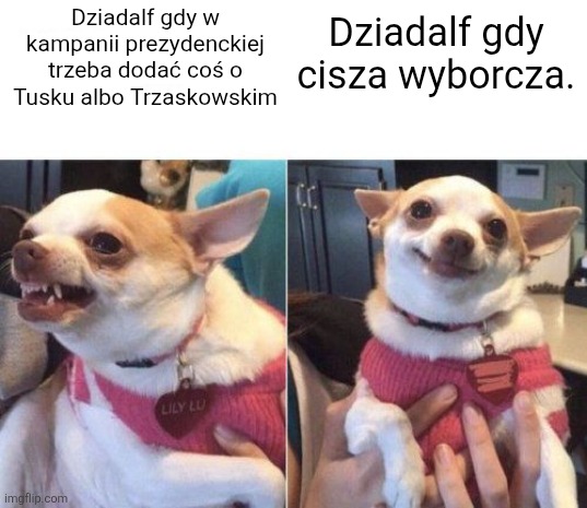 1000010268.jpg