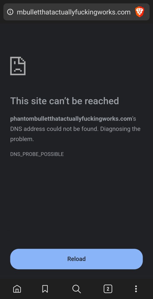 Screenshot_20250603-152316_Brave.jpg