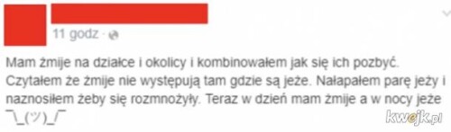 k5k1rk5sQuI59UaH.jpg
