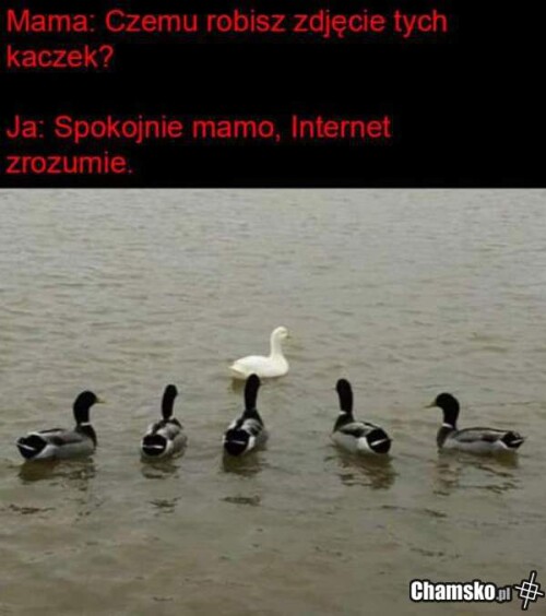 1000010513.jpg