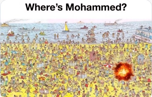 1000023751.jpg