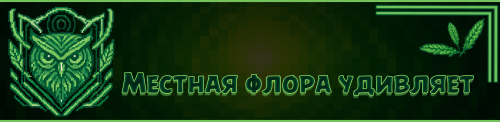 305.png