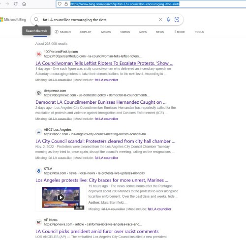 Bing.jpg