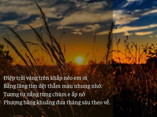 tho-thang-6-1.jpg