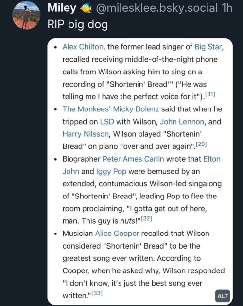 Brian-WilsoN-Shortenin.jpeg