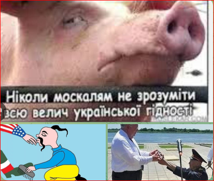 13518_original.png