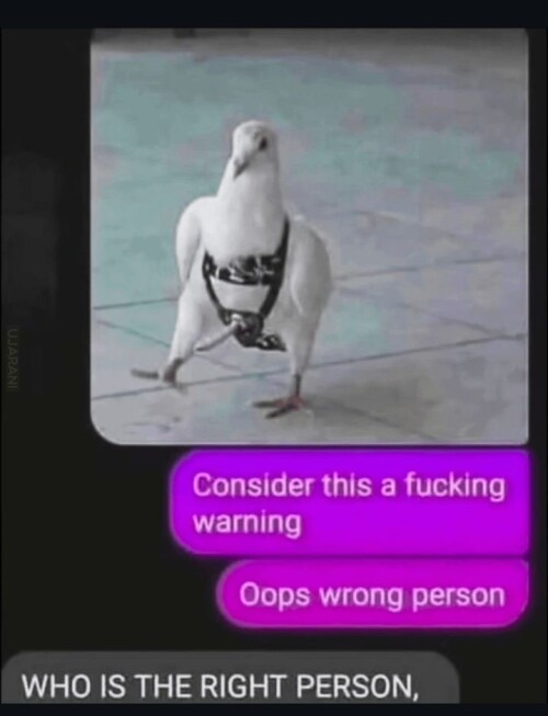 2TYET6.jpg