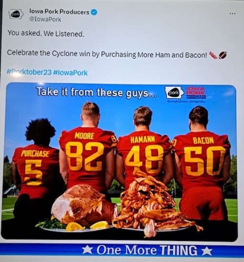 baconmeme30-scaled-e1748697999118.jpg