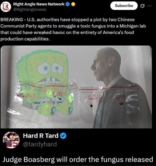 1-sdfsdfsdfsdfsdf.jpg