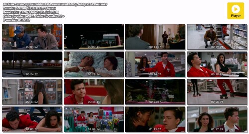 career.opportunities.1991.remastered.1080p.bdrip.x264.Dual.mkv.jpg