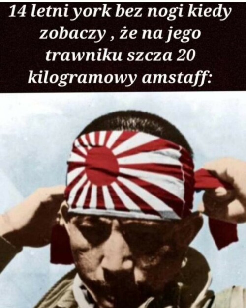 20250615_162922.jpg