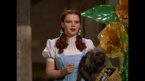 Captura-de-pantalla-2025-06-15-215605.png