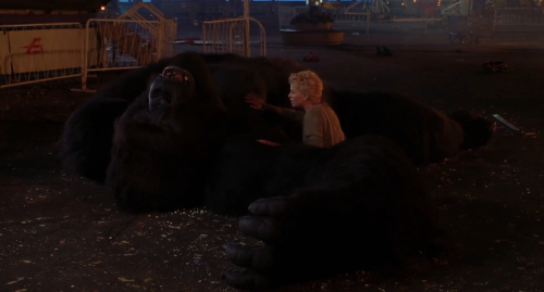 Captura-de-pantalla-2025-06-16-213515.png