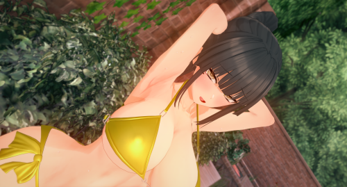 CharaStudio-2025-05-28-22-55-25-Renderc675540d56471245.png