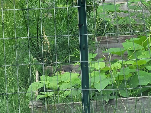 20250618_095138.jpg