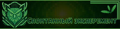 310.png