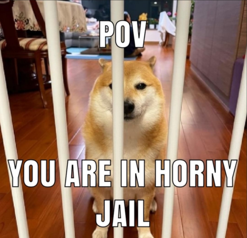 image22838c18b415ea1d.png