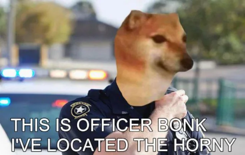 image31d4ef6a129e15ba.png