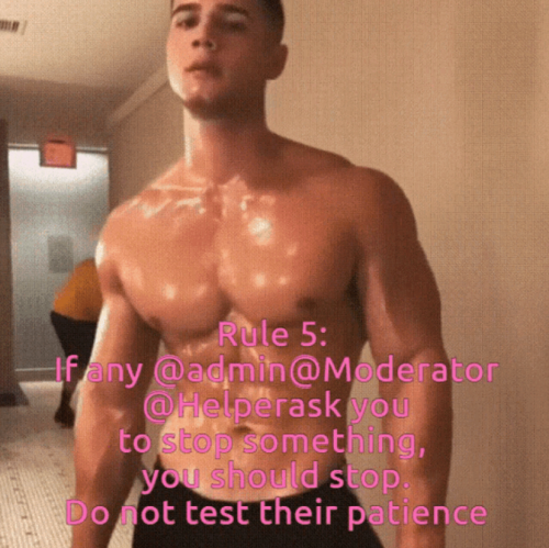 imageae199ed15da72e34.png