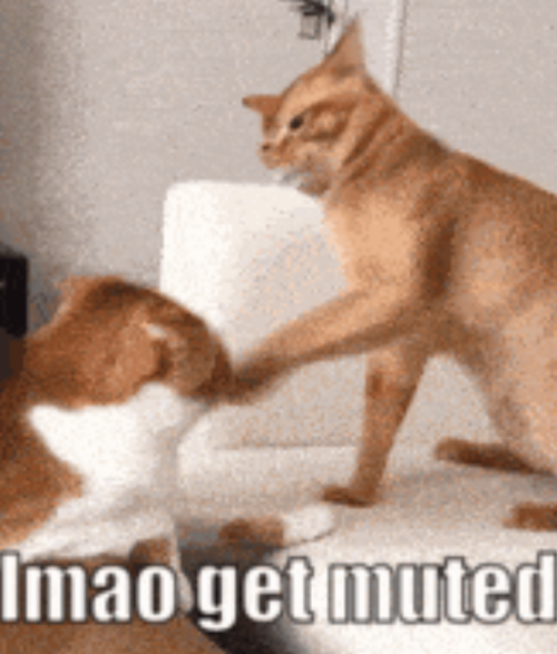 imagef082d27cd9ec2f35.png